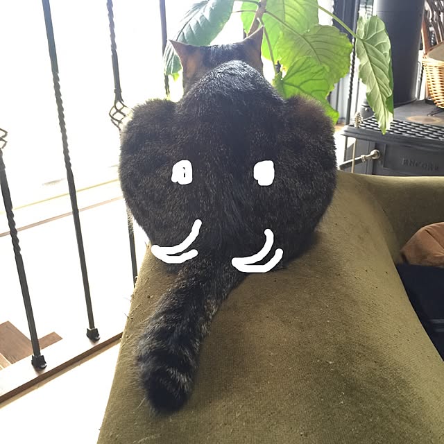 shio2772さんの実例写真