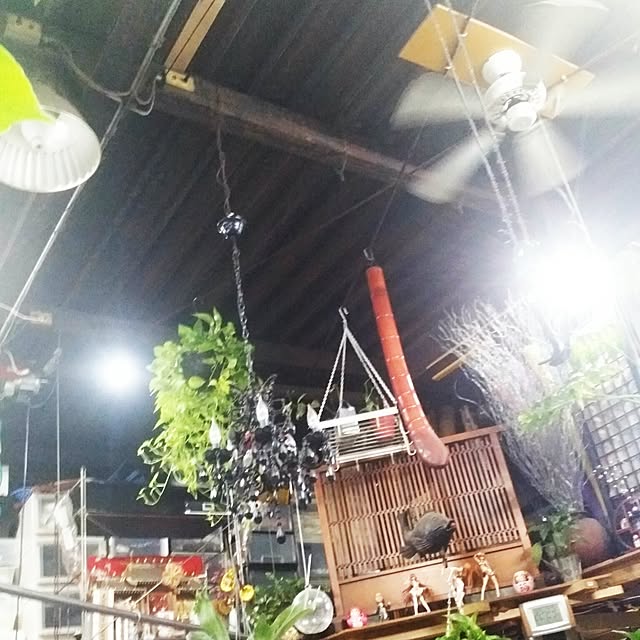 壁/天井のインテリア実例 - 2017-04-17 22:24:09