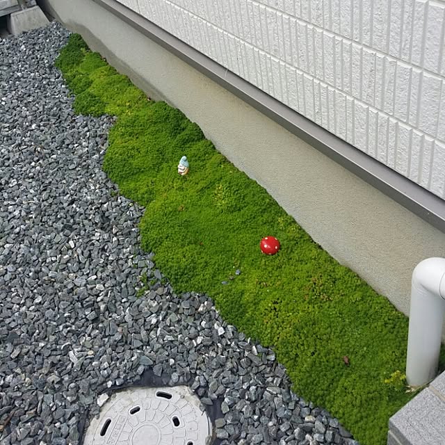 viviさんの実例写真