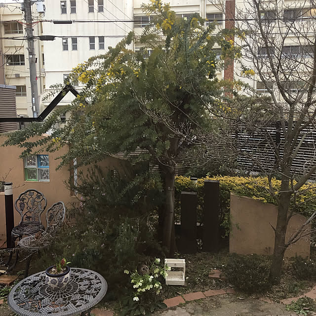kuikoさんの実例写真