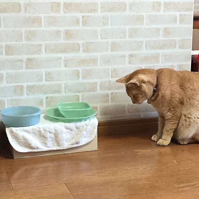 Yumiさんの実例写真