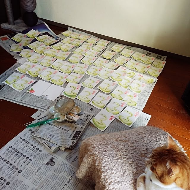 NOAHさんの実例写真