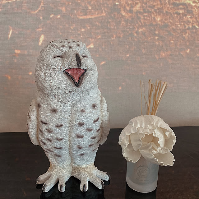 miktnさんの実例写真