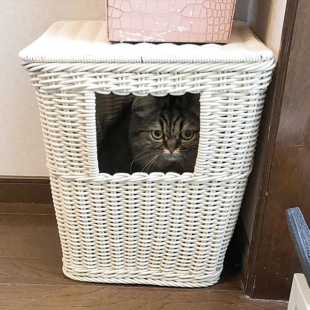 ayusamuさんの実例写真