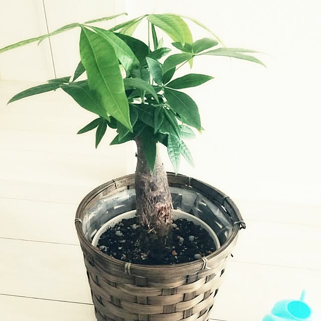 tomo5410さんの実例写真