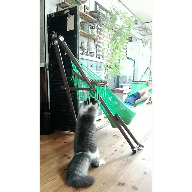 konoharuさんの実例写真