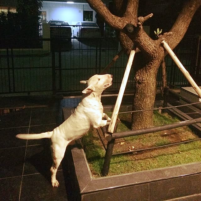 Thammaratさんの実例写真