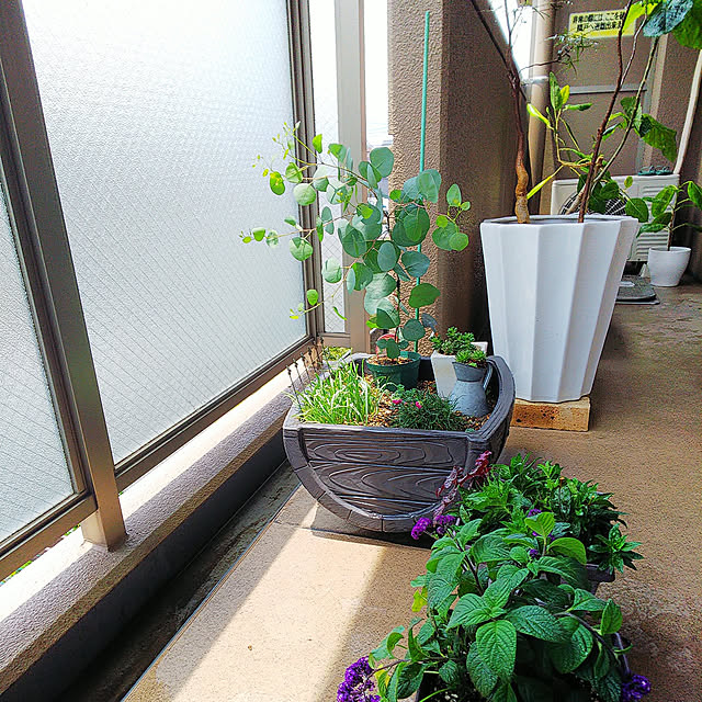 n0516さんの実例写真