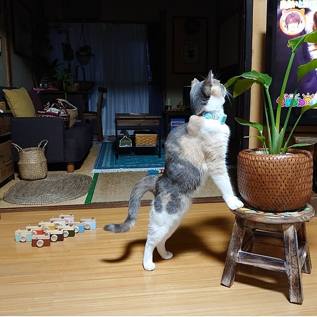 fukuさんの実例写真