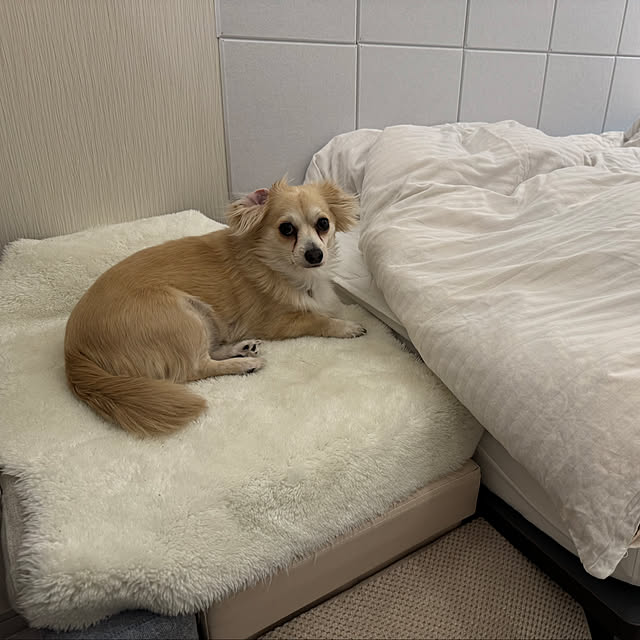 Rainyさんの実例写真
