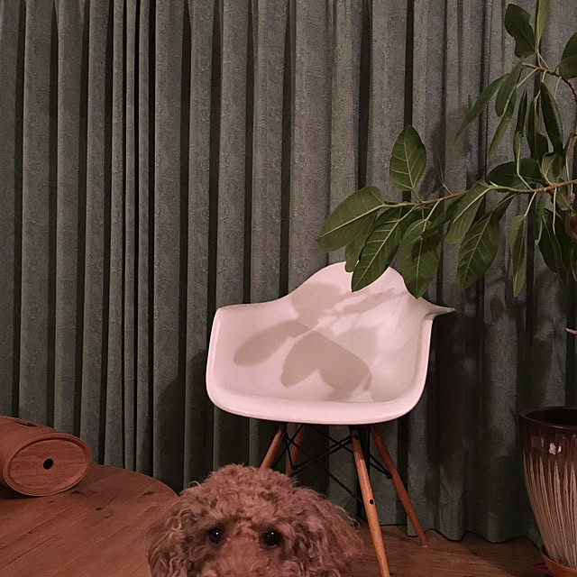 yukochic0812さんの実例写真
