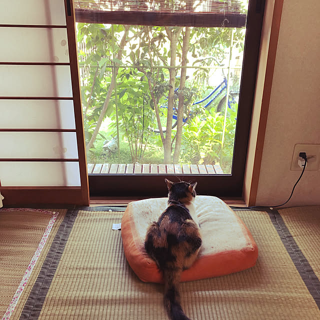 1013さんの実例写真