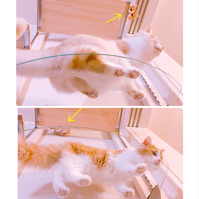 H.Tさんの実例写真