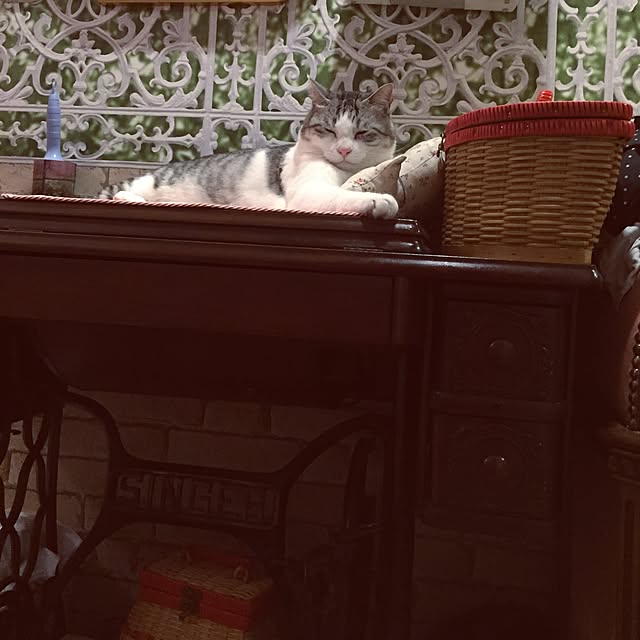 emmyyさんの実例写真