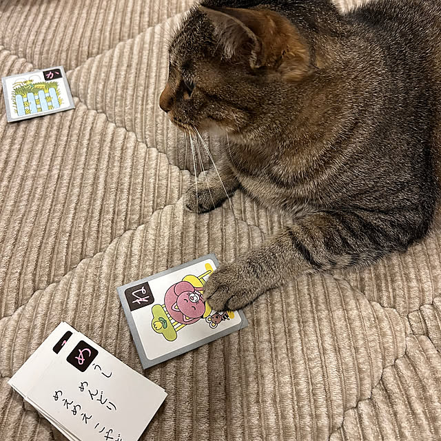 mikomaruさんの部屋