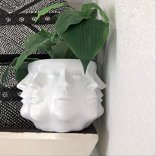 oiseauxさんの実例写真