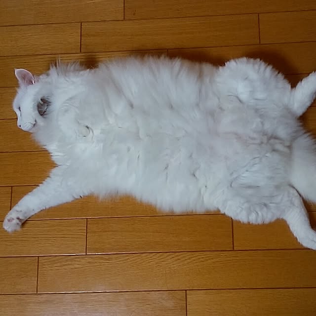 J.BOYさんの実例写真