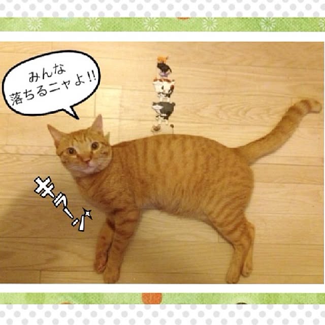 n-sanさんの実例写真