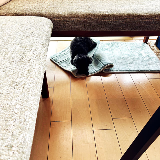 maqfabさんの部屋