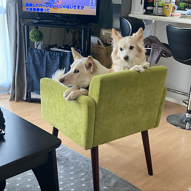 cheminさんの実例写真