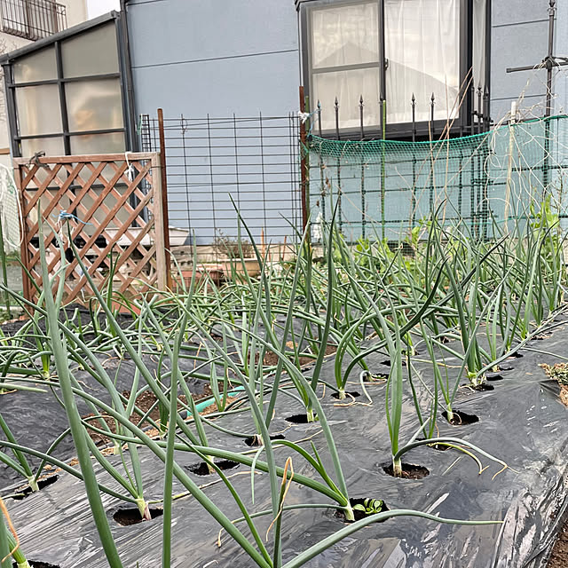 natsumiさんの部屋