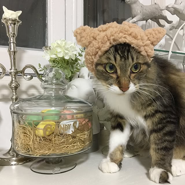 yuchiさんの実例写真