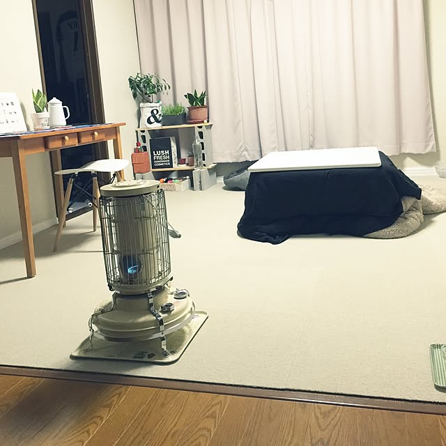 NAOさんの実例写真