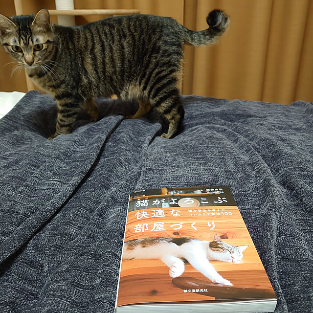 eenashiさんの実例写真