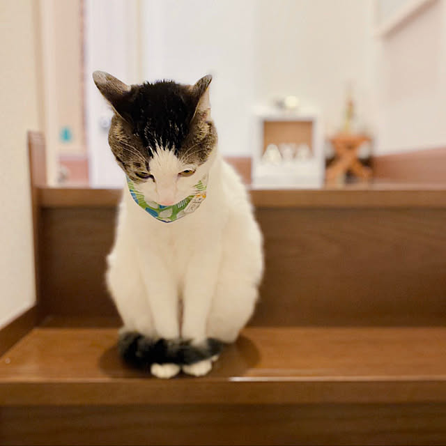 ranpo_momさんの実例写真