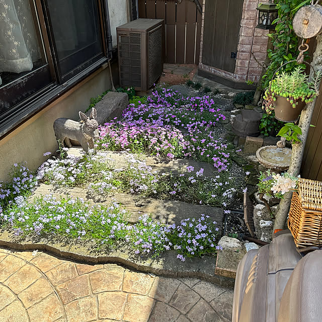 tabasaさんの部屋