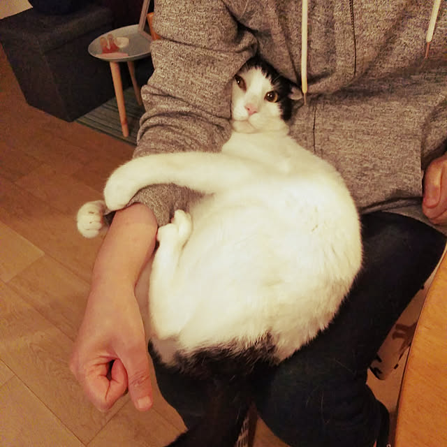 futukoさんの実例写真