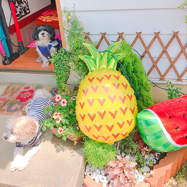 itsmikikoeightさんの実例写真