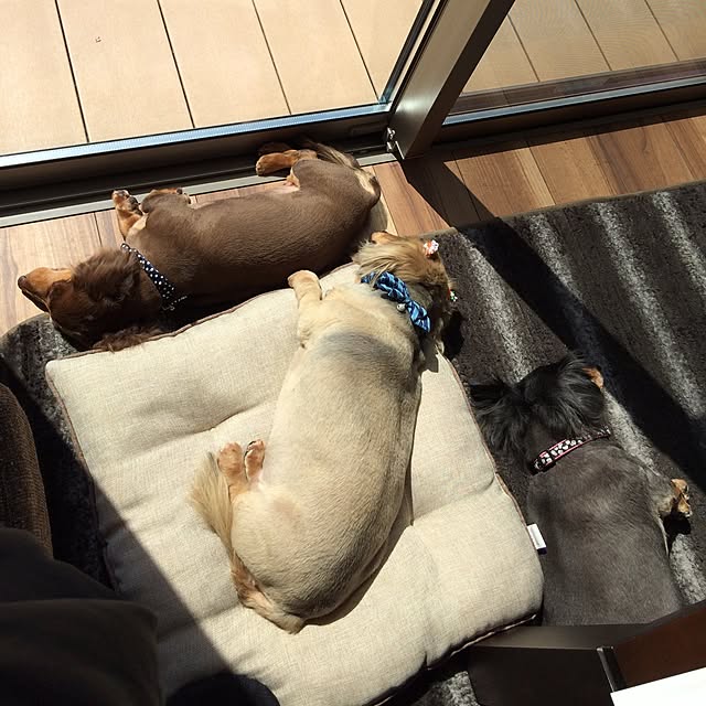yumitakaさんの実例写真
