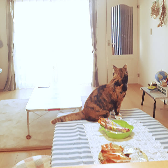 aiさんの実例写真