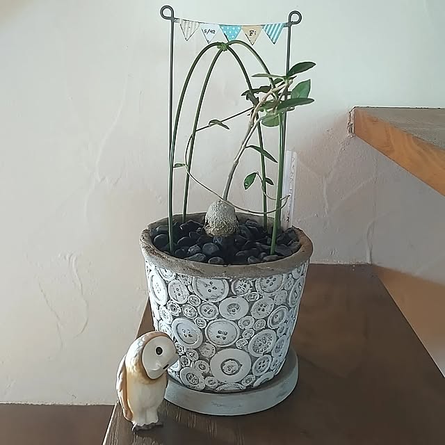t.yumiさんの実例写真