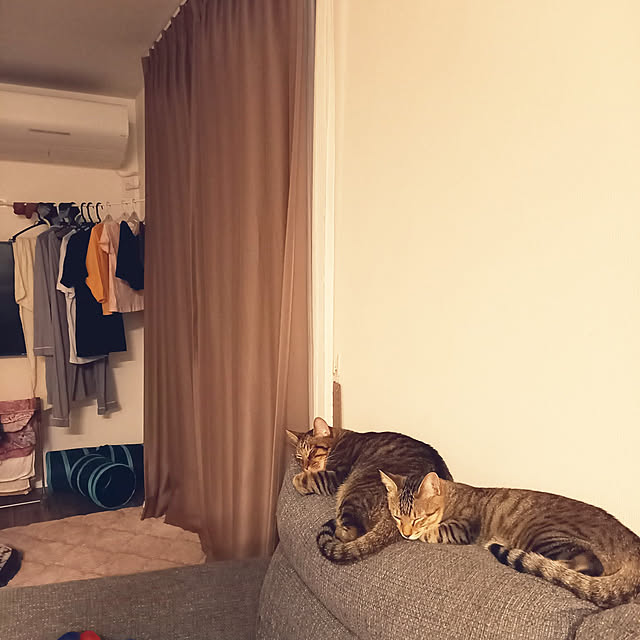 p-p-maruさんの実例写真