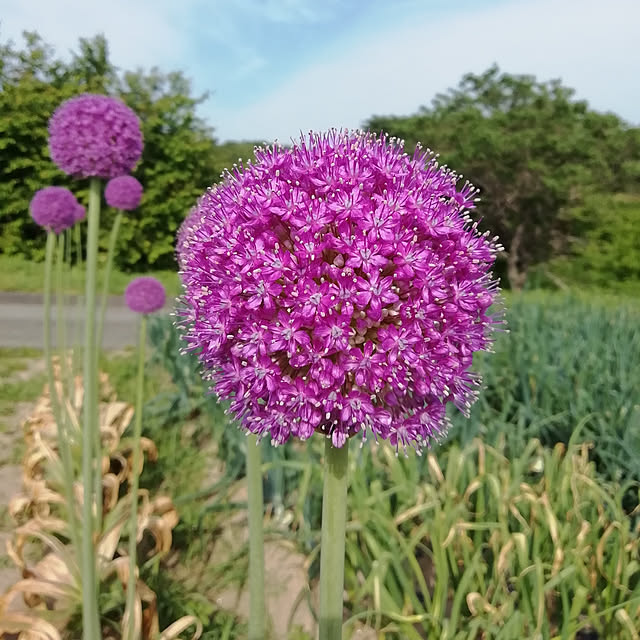 hm99さんの実例写真