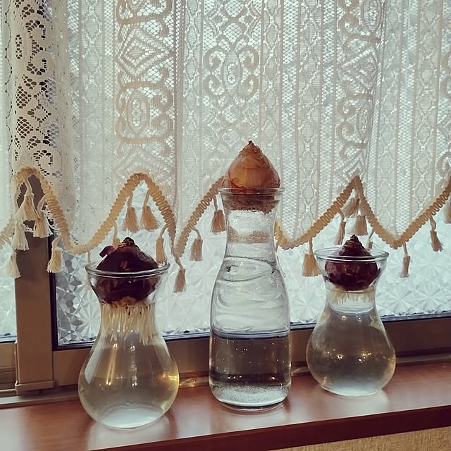 kana_ciiさんの実例写真