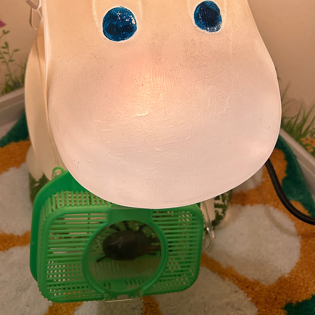 sukkorobiさんの部屋