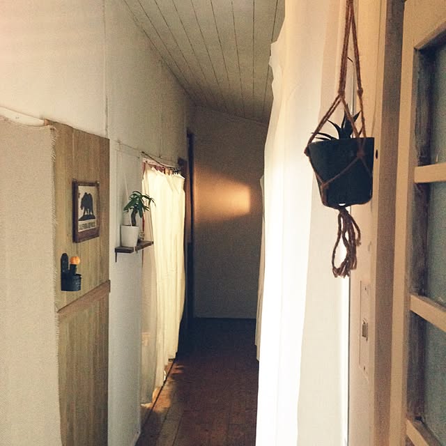 pikoさんの実例写真