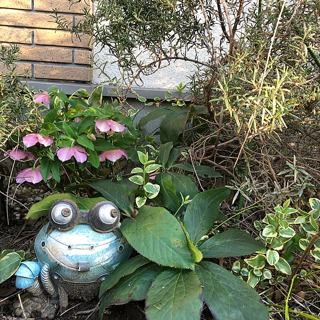 gappeさんの実例写真