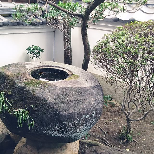 MIPORINNさんの実例写真