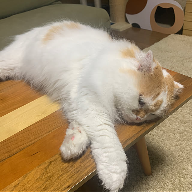 keiさんの実例写真