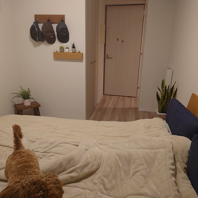 yukiさんの部屋