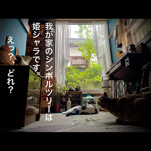 marusanさんの実例写真