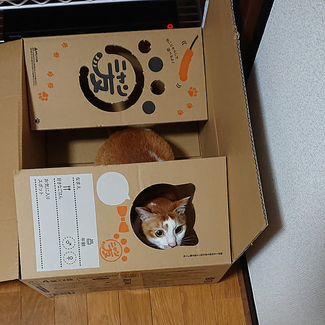 mugi77327732さんの実例写真