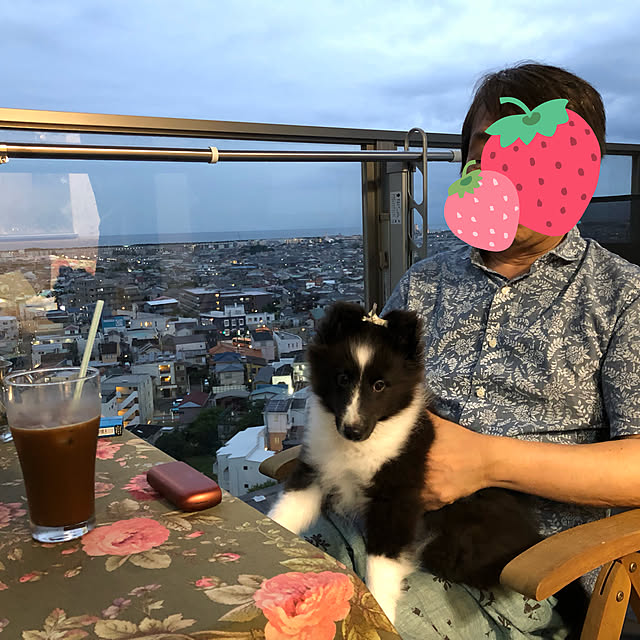 InfiniRoseさんの実例写真