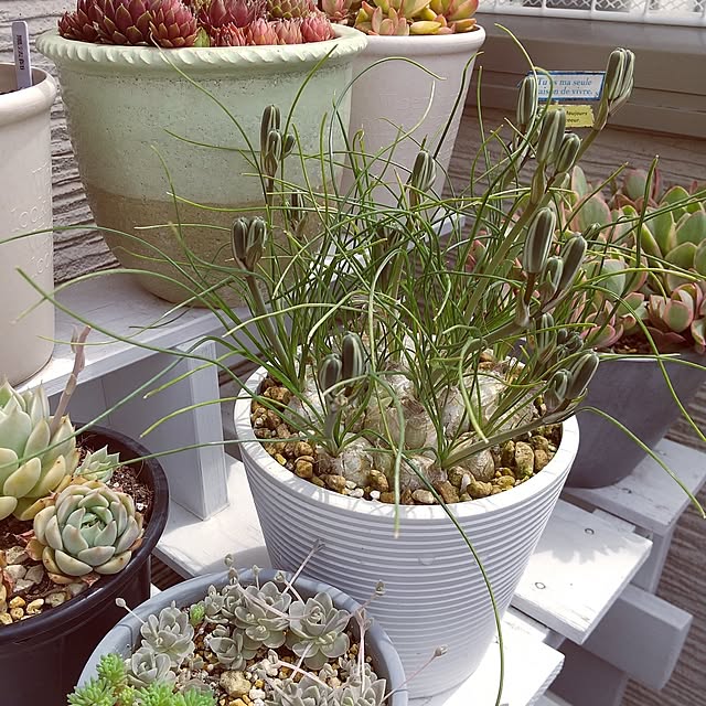 meiさんの実例写真