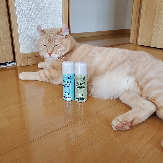 makoさんの部屋