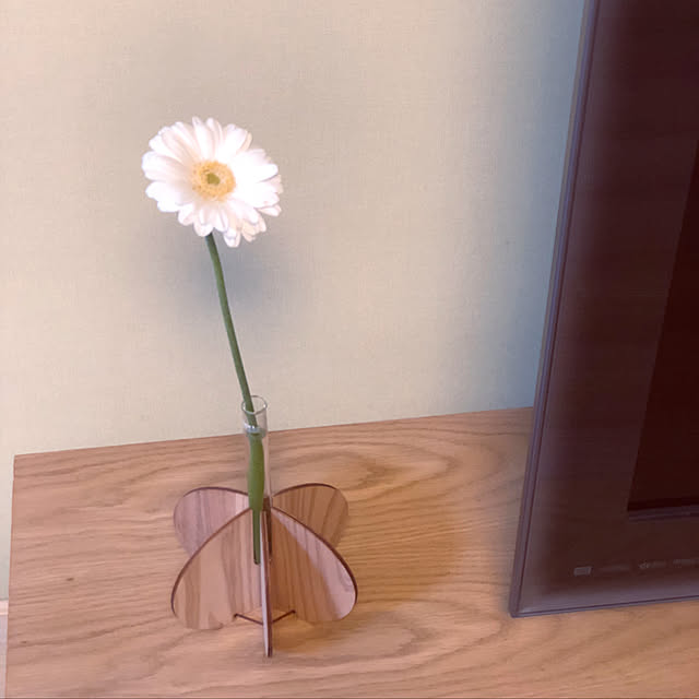 iwamayuさんの実例写真